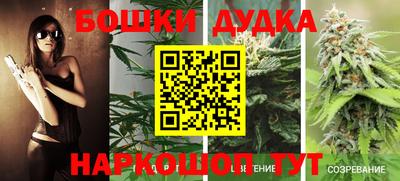 хмурый Новозыбков