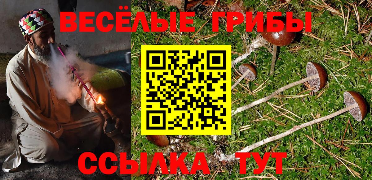 Галлюциногенные грибы ЛСД Сухой Лог